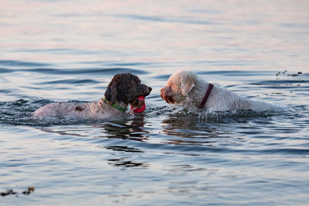 img 20210611 082620 997