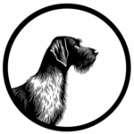 cropped cropped untitled design.png