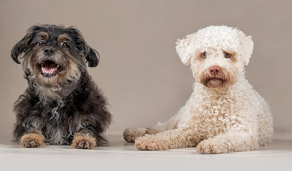 img 20210916 wa0015 (1)~2