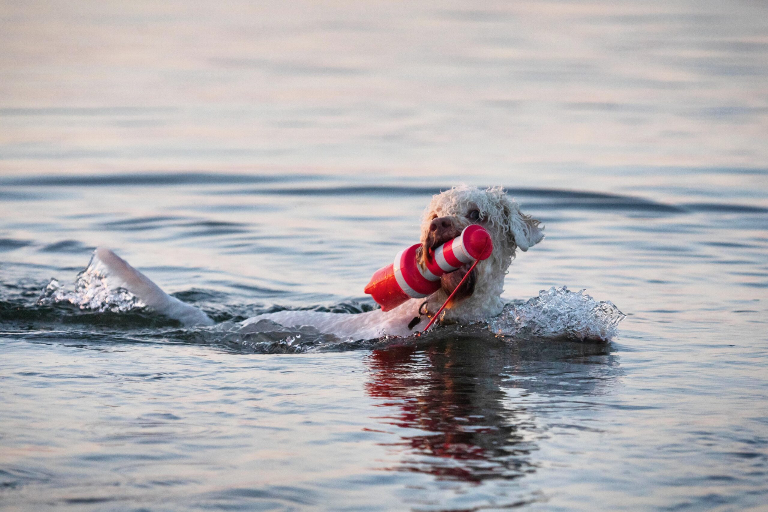 img 20210611 081613 194